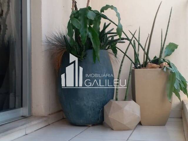Apartamento para Venda em Campinas - 5